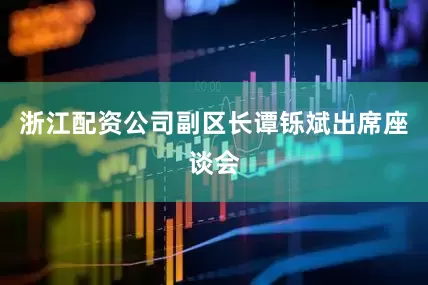 浙江配资公司副区长谭铄斌出席座谈会