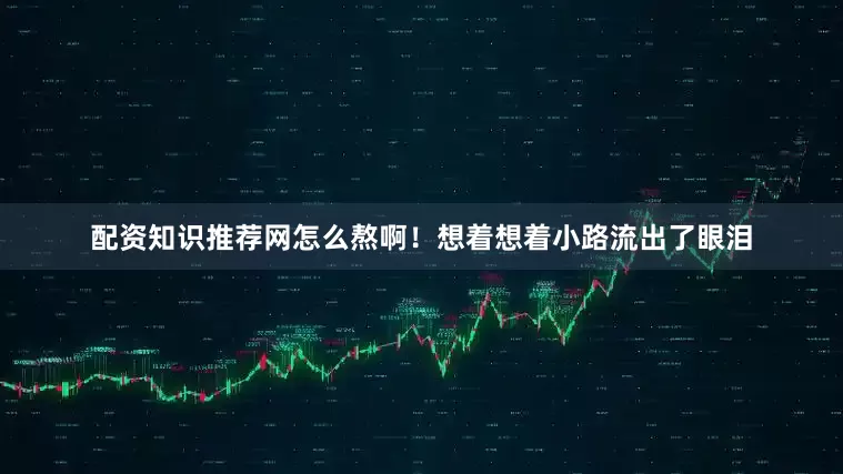 配资知识推荐网怎么熬啊！想着想着小路流出了眼泪